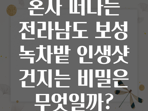 혼자 떠나는 전라남도 보성 녹차밭 인생샷 건지는 비밀은 무엇일까?