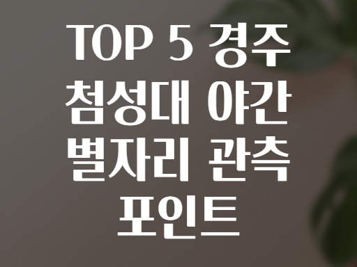 TOP 5 경주 첨성대 야간 별자리 관측 포인트