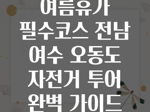 여름휴가 필수코스 전남 여수 오동도 자전거 투어 완벽 가이드