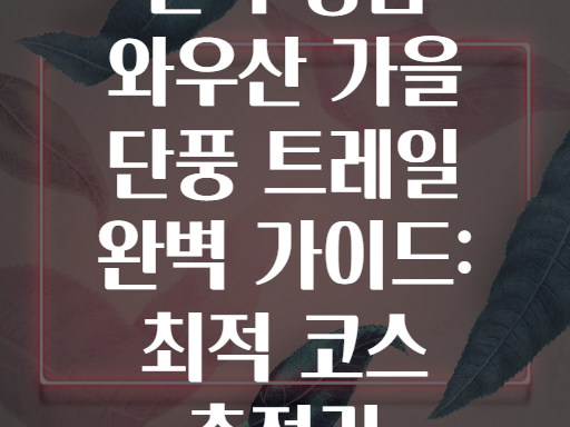 전북 정읍 와우산 가을 단풍 트레일 완벽 가이드: 최적 코스 총정리