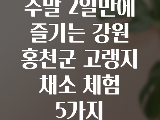 주말 2일만에 즐기는 강원 홍천군 고랭지 채소 체험 5가지