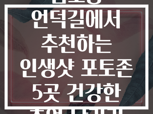 금호동 언덕길에서 발견한 인생샷 포토존 5곳