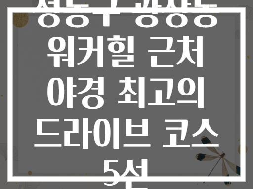 성동구 광장동 워커힐 근처 드라이브 코스 (야경 최고)