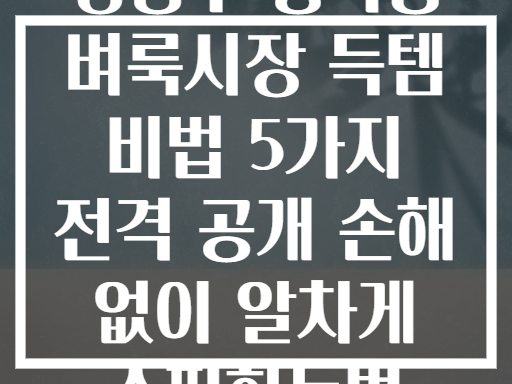 성동구 황학동 벼룩시장 득템 비법 5가지! 모르면 손해