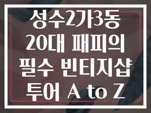 성수2가3동 20대 패피들의 성지! 빈티지샵 투어 A to Z