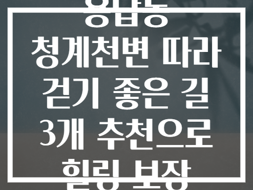 용답동 청계천변 따라 걷기 좋은 길 추천 (힐링 보장)