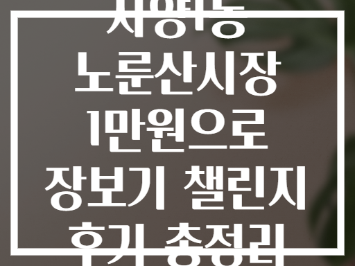 자양1동 노룬산시장 1만원으로 장보기 챌린지 후기